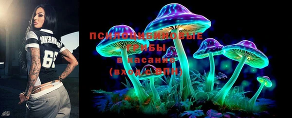 PSILOCYBIN Арсеньев