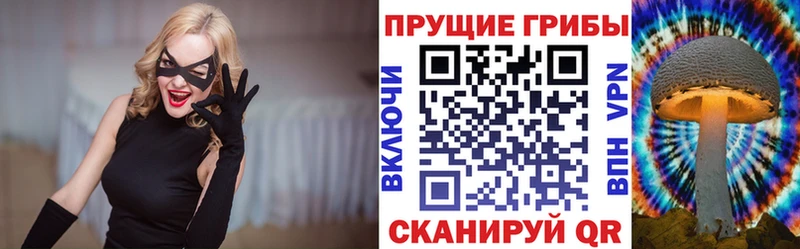 Псилоцибиновые грибы мицелий  Купить закладки  Яранск 